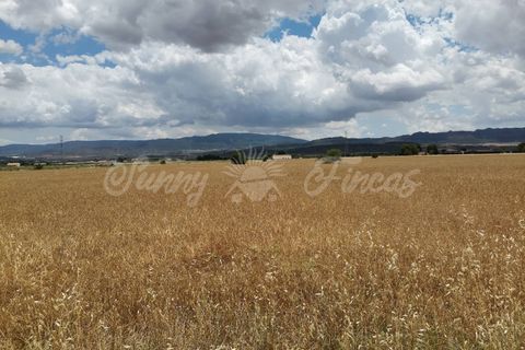 Helårsgrund i Yecla, Murcia, Yecla - € 32.900 | Ref: SF0321 - foto 5